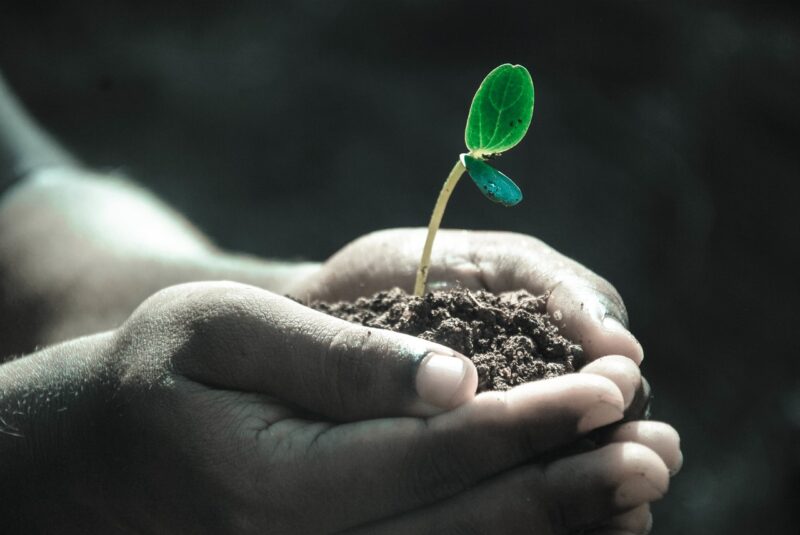 community growth