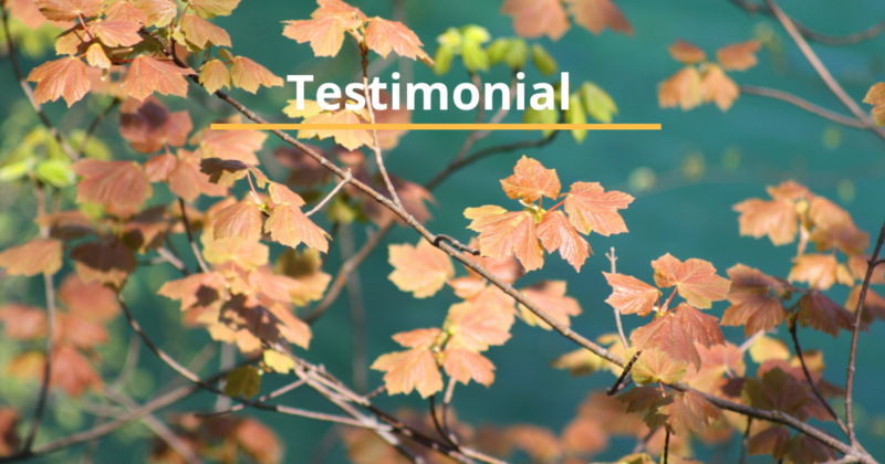 testimonial of Ross LeCras
