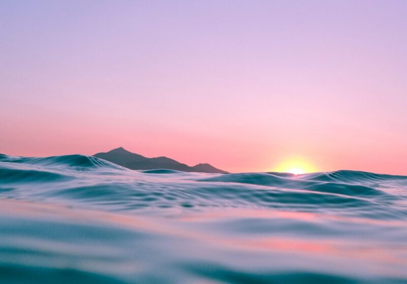 Nurturing Mental and Emotional Wellbeing