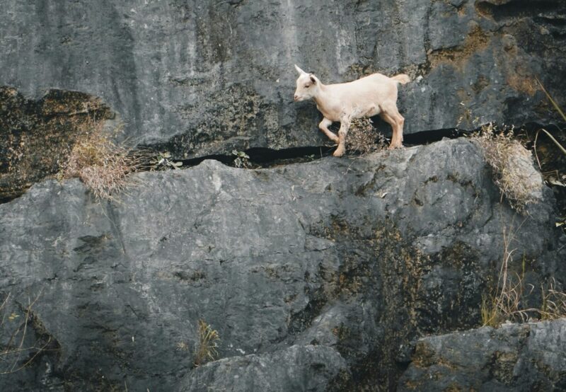 Feeling stuck in your faith and longing for renewal in Christ